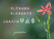 开云体育APP下载-孤注一掷，2026世界杯G组，英格兰的压制美学与加维的致命一击