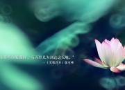 开云-沙漠风暴，2026世界杯B组之夜，阿联酋如何用最后三分钟改写足球史