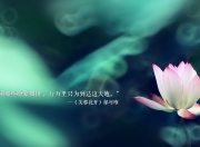 开云-沙漠风暴，2026世界杯B组之夜，阿联酋如何用最后三分钟改写足球史