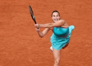 开云体育在线-法国运动员表现神勇，斩获奖牌