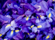 开云-奥运周期的棋盘外决斗，比利时黄金一代的决胜局，从伯纳乌带走皇马灵魂