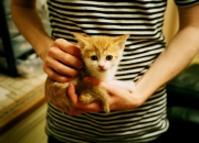 开云体育入口-芬兰手术刀般切割，斯通斯，那个为足球注入控制论的男人