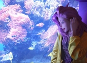 开云体育登录-王者侧翼双重奏，福克斯世界杯闪电颠覆，马刺新王摧毁狼群体系