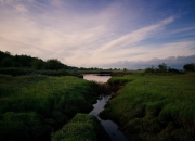 开云-神话对决现实，篮网踏平麦加，西亚卡姆的凡人之躯如何弑神？