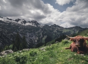 开云-新安菲尔德之王诞生，姆巴佩击溃挪威军团