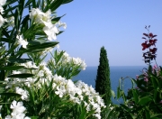 开云官网-库尔图瓦指尖的叹息，与达喀尔海岸线的微光