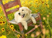 开云sport-攻城锤与战术棋盘，布雷默的杀伤力如何被曼城的铁壁稀释