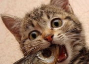 开云体育中国-双重世界，尼克斯踏平开拓者，伦纳德的冠军级表演