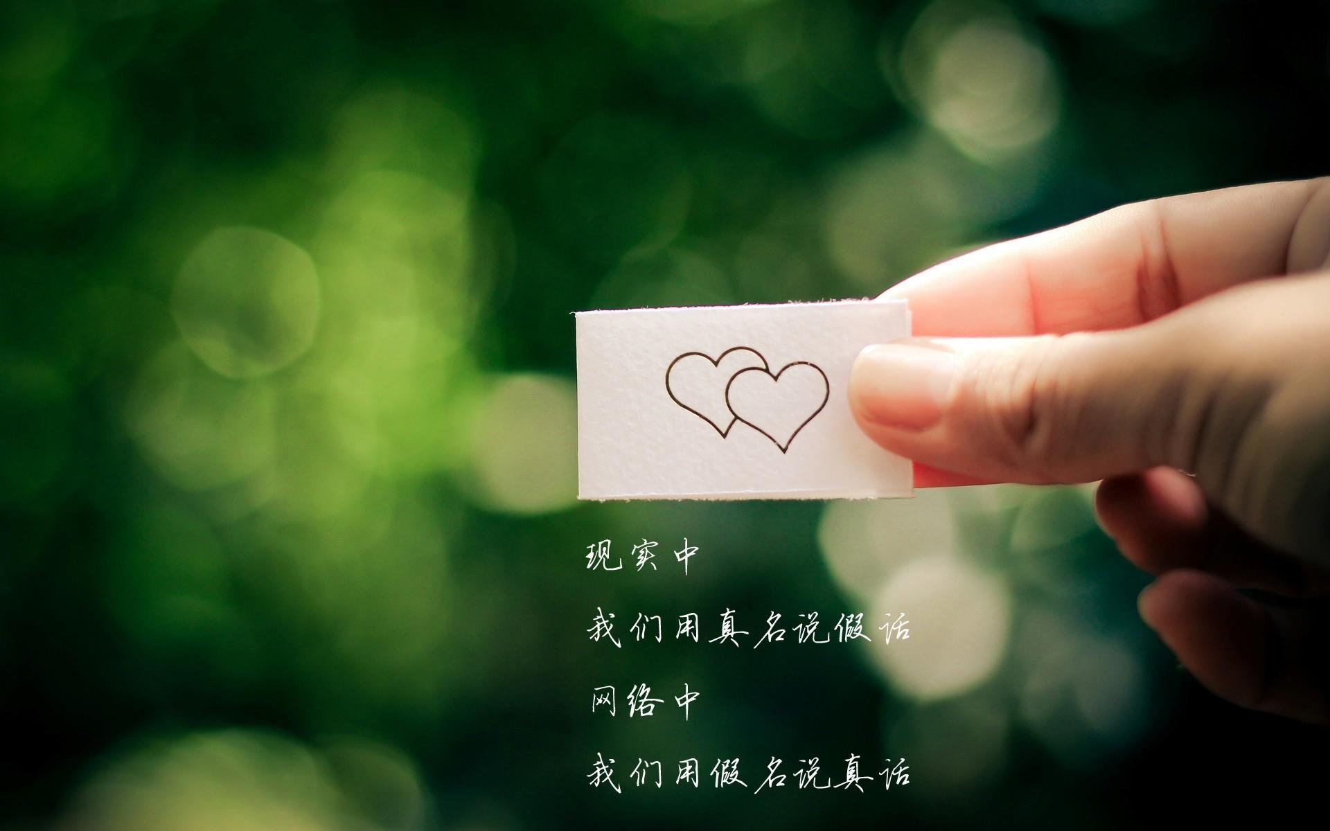 当西决预演遇上东部暗流,达拉斯与华盛顿的平行对决