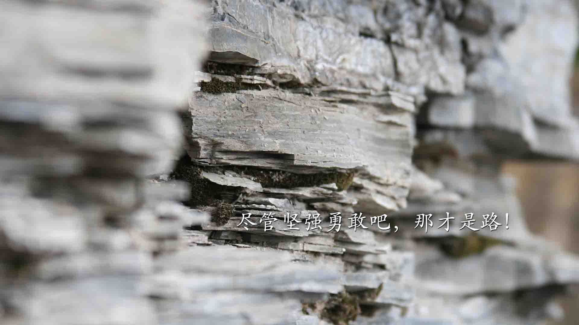 防守的共鸣,当篮网的锁链缠住森林狼,霍勒迪在温布利画下休止符