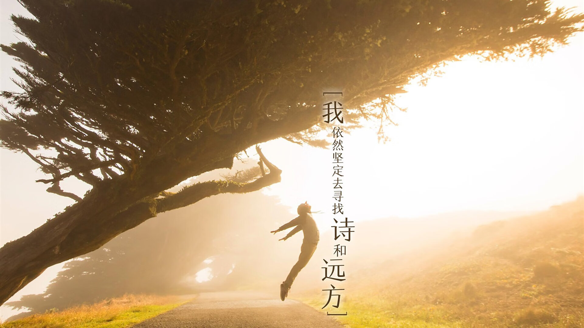 足球的两种胜利，个人英雄主义与铁血团队—当本泽马爆发遇上哥斯达黎加力克丹麦