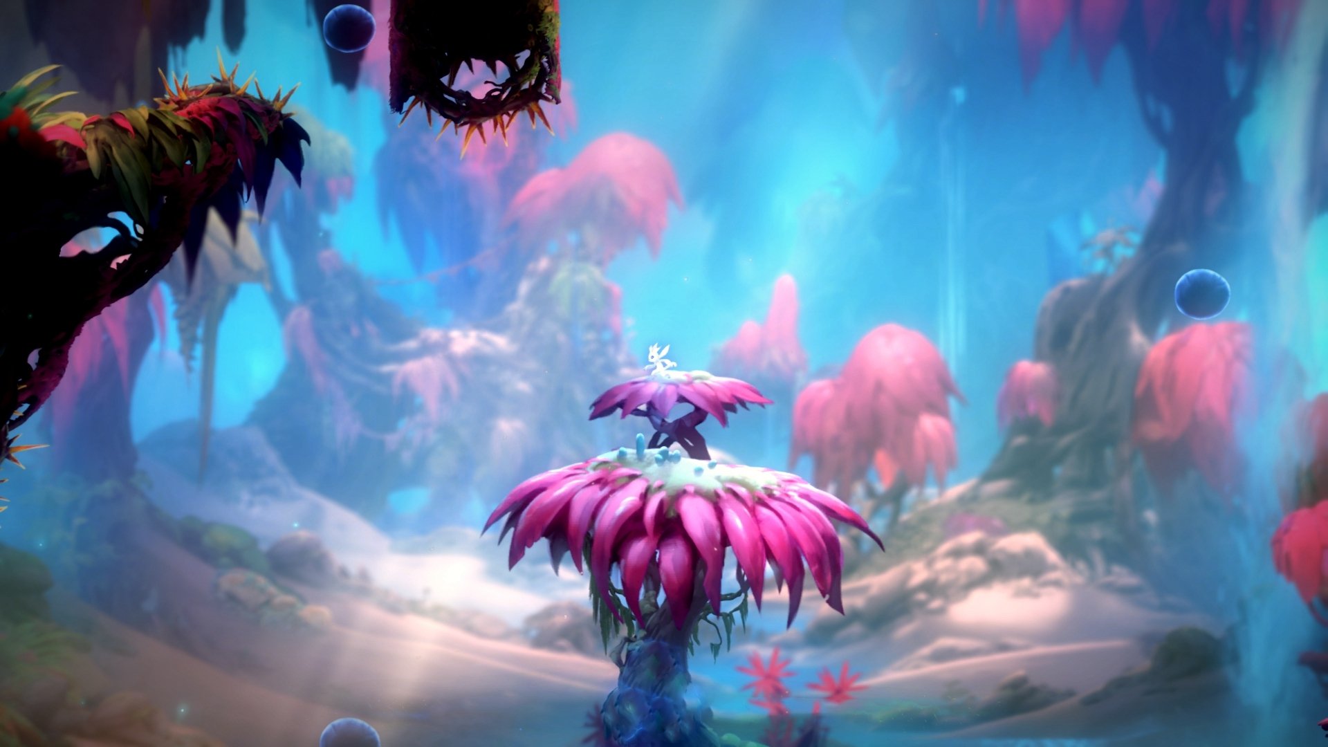 大脑战胜肌肉，日本篮球的战术革命与NBA的格鲁吉亚奇迹