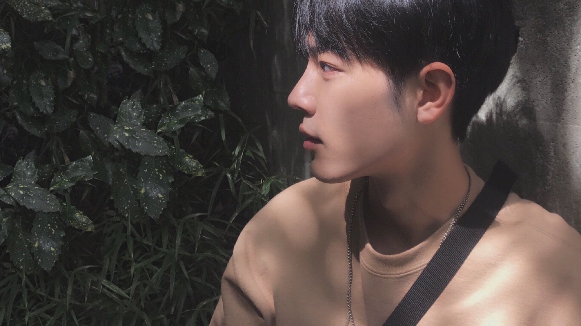 范弗利特法则,在绝对的否定之后,绝对的肯定才成立