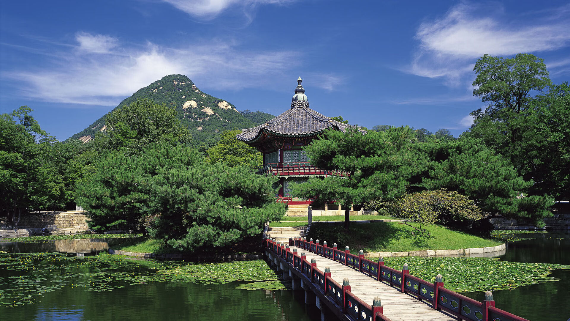 范弗利特法则,在绝对的否定之后,绝对的肯定才成立