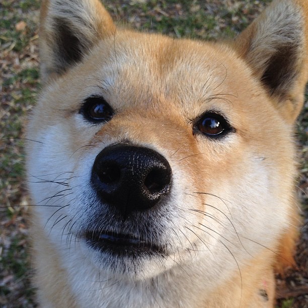 门将之夜，在巴林赛道扑救红牛