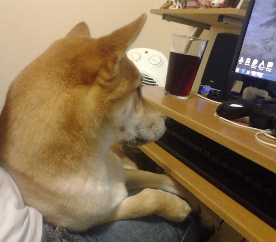 爱尔兰绿荫对阵红魔之魂,迪巴拉在国家德比中的华丽独奏