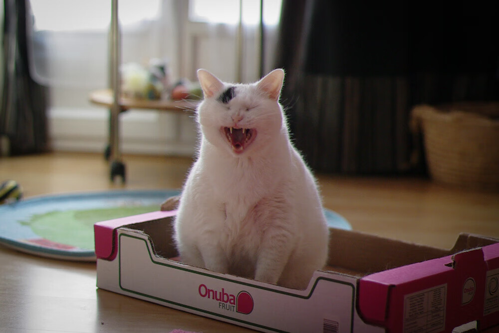 永恒的第94分钟，巴斯托尼的45°角与塞维利亚留给中国的唯一解