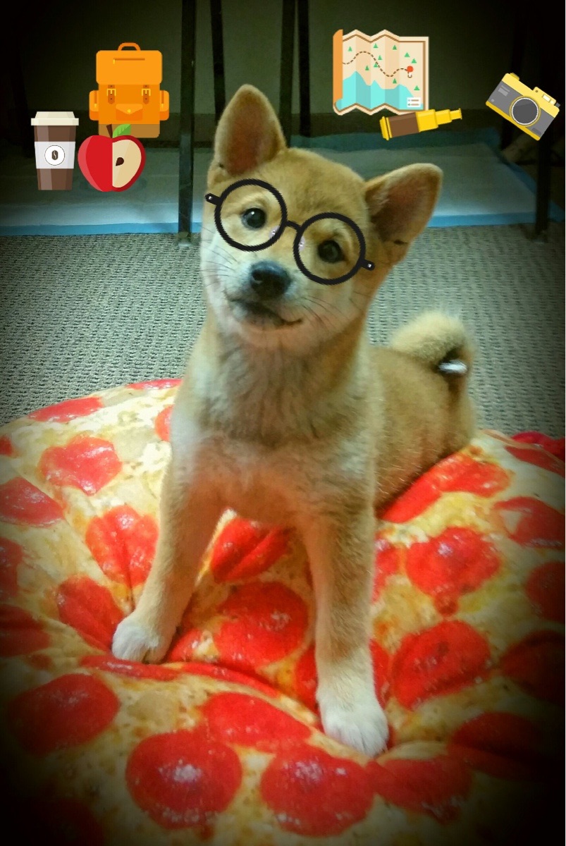 双星闪耀，奥斯梅恩的孤勇与埃及的狂澜，共绘非洲力量新章