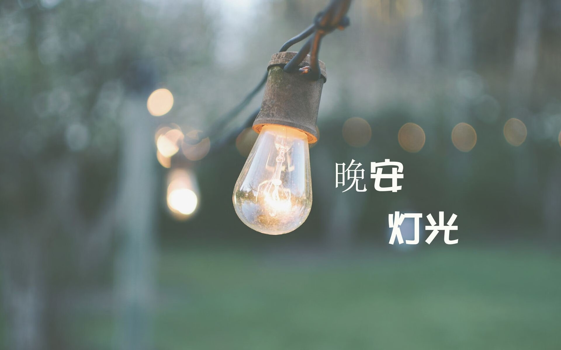 沙漠绿洲的陷落,当美国风暴席卷F组,坎塞洛用防守反击写下唯一答案